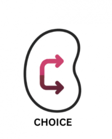 CHOICE – competence building for choosing the appropriate treatment pathway in older patients with chronic kidney failure and limited life prognosis