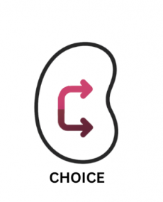 CHOICE – competence building for choosing the appropriate treatment pathway in older patients with chronic kidney failure and limited life prognosis